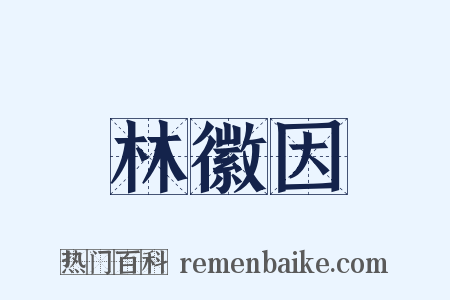 林徽因是什么意思的图片